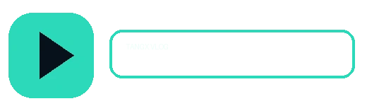 糖心vlog
